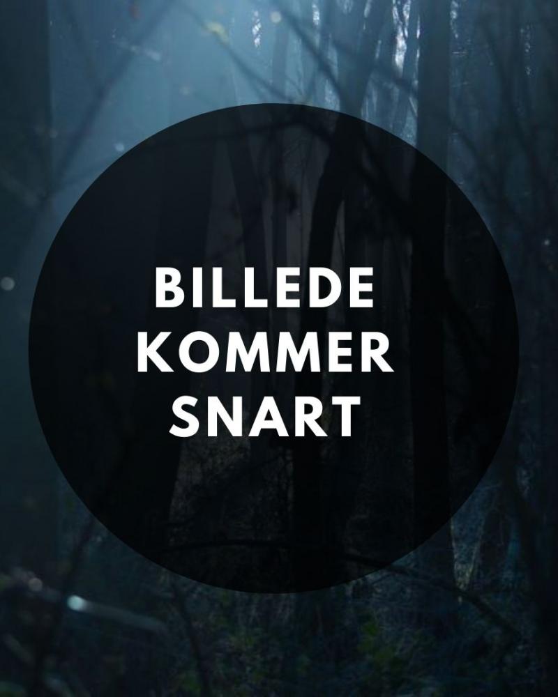 Billede kommer snart