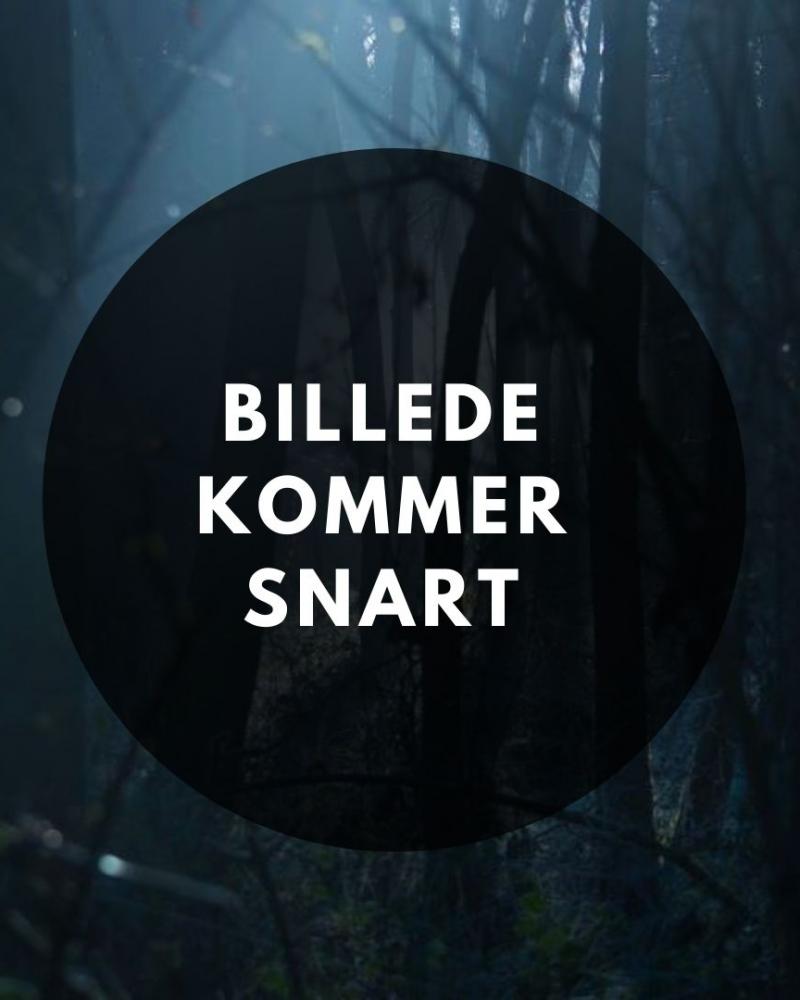 Billede kommer snart