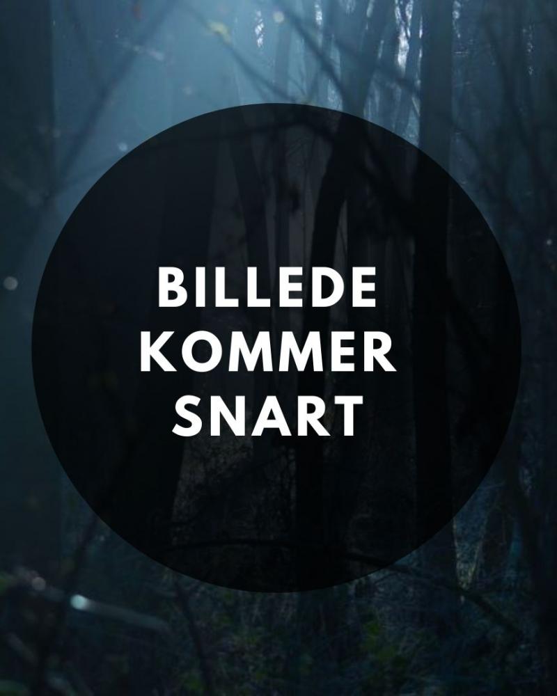 Billede kommer snart