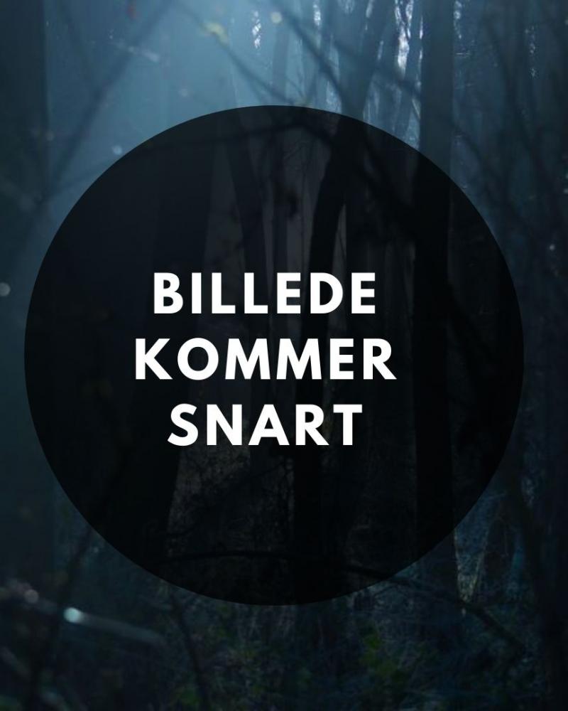 Billede kommer snart