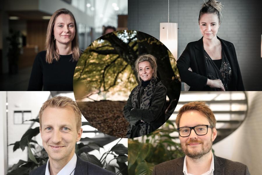 Team Business Rebild