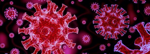 Billede af coronavirus