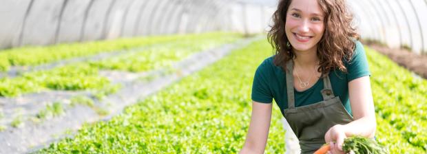 Kvinde arbejder med gulerødder