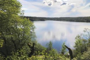 I Rold Skov er der masser af søer og i flere af dem må der bades. Som her, Store Økssø, hvor der også er en fantastisk udsigt.